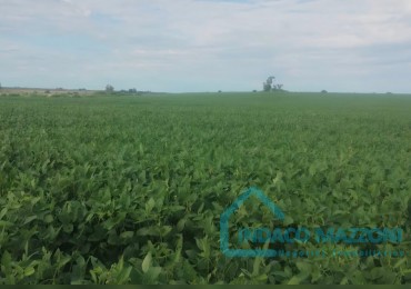 30 ha AGRIGOLAS - VICTORIA